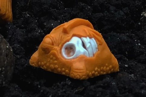 Pumpkin Orange