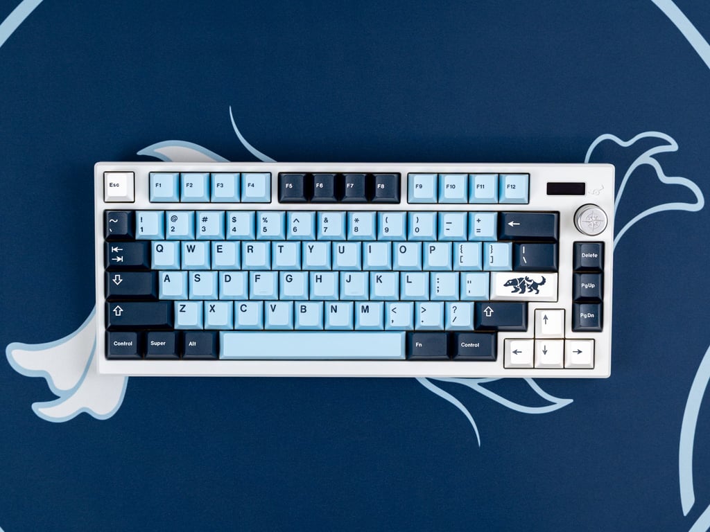 Mizu R2