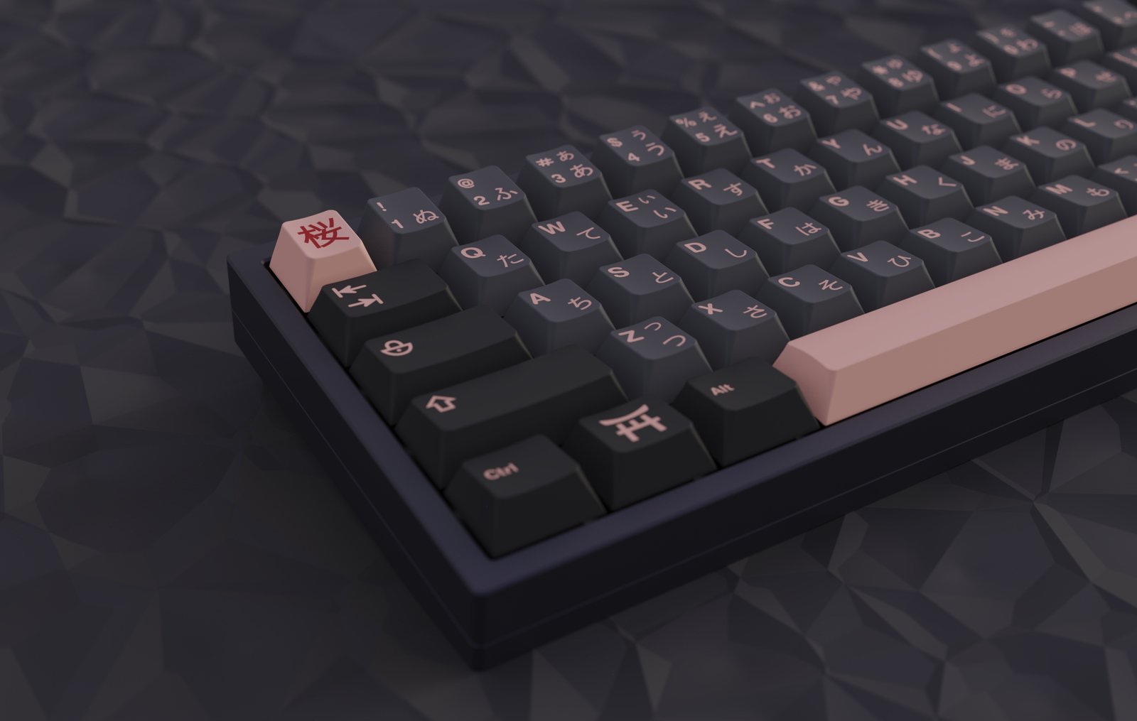 JTK NightSakura