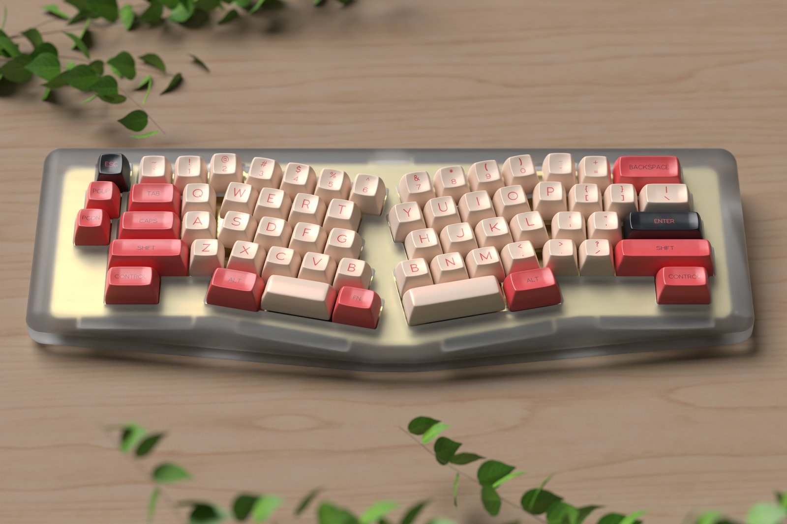 SA Fledgling