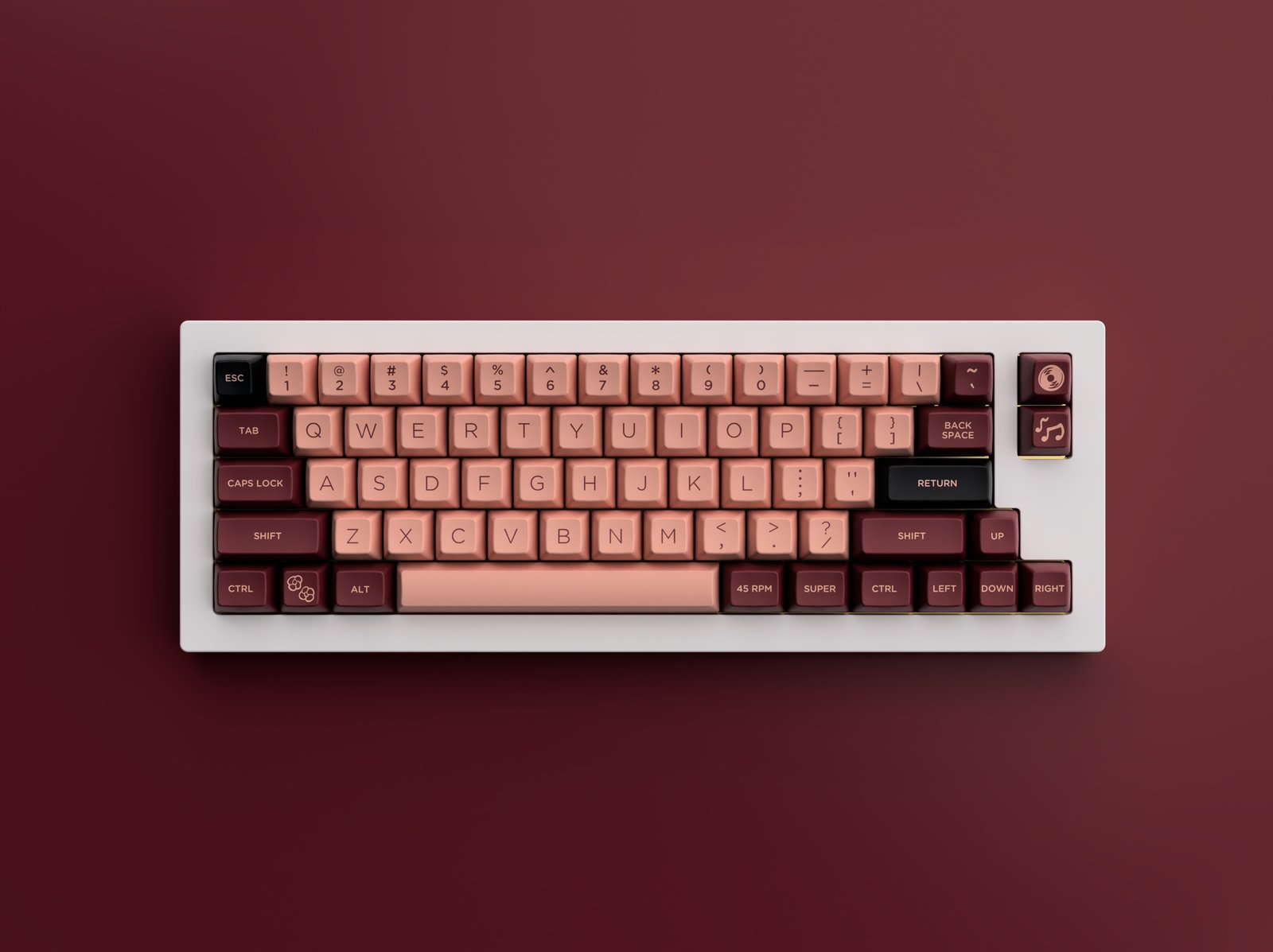 SA Sunday Morning