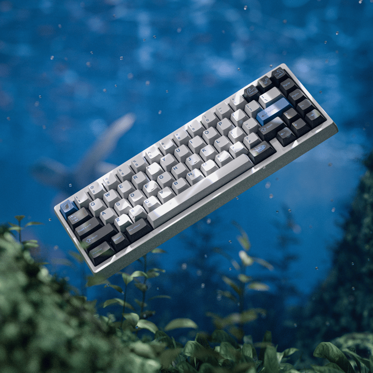 Splash