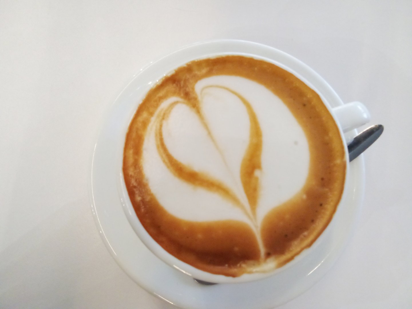 A cappuccino from a coffee shop in Albania