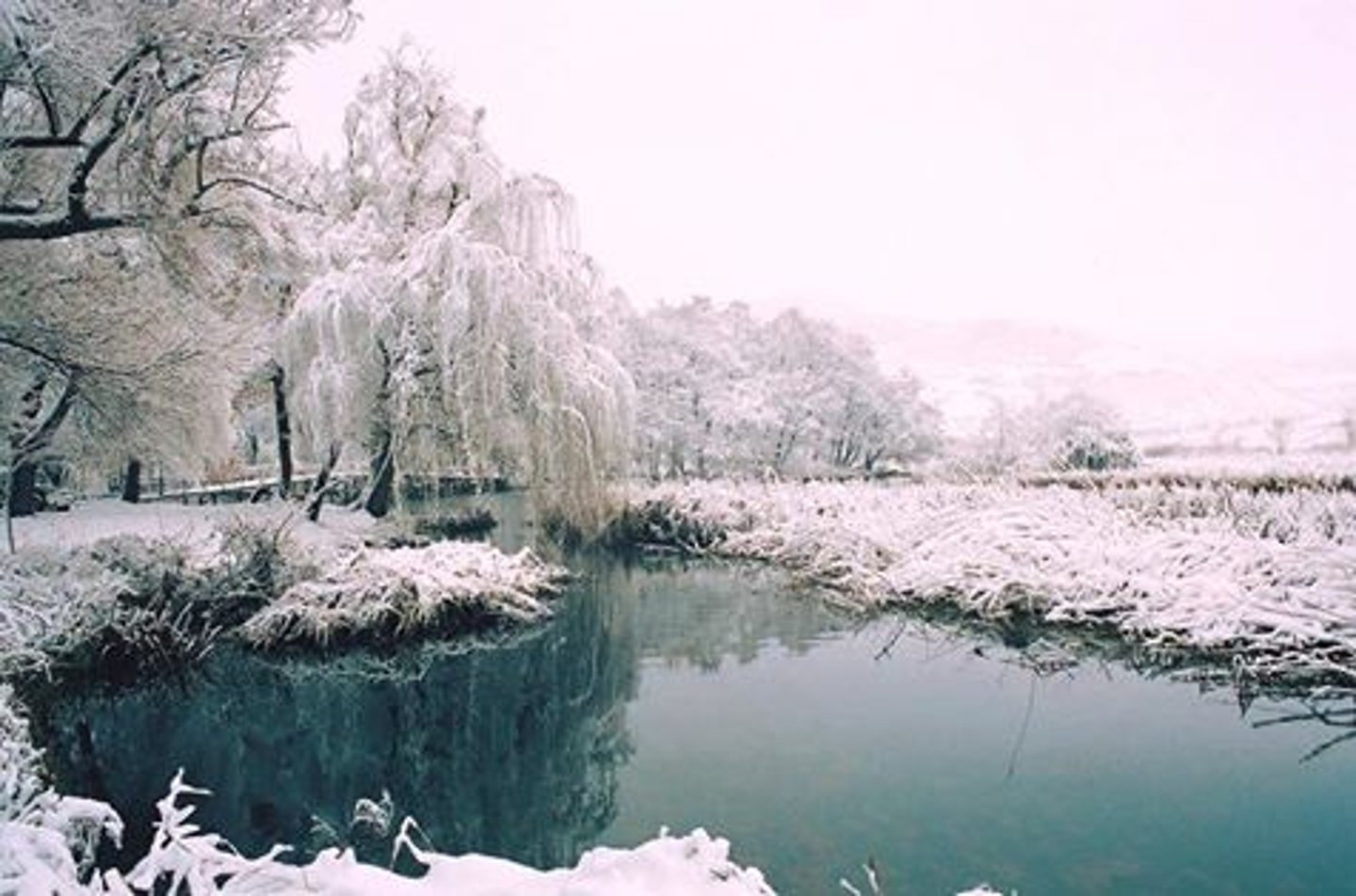 A snowy winter landscape in Albania's Driloni National Park.