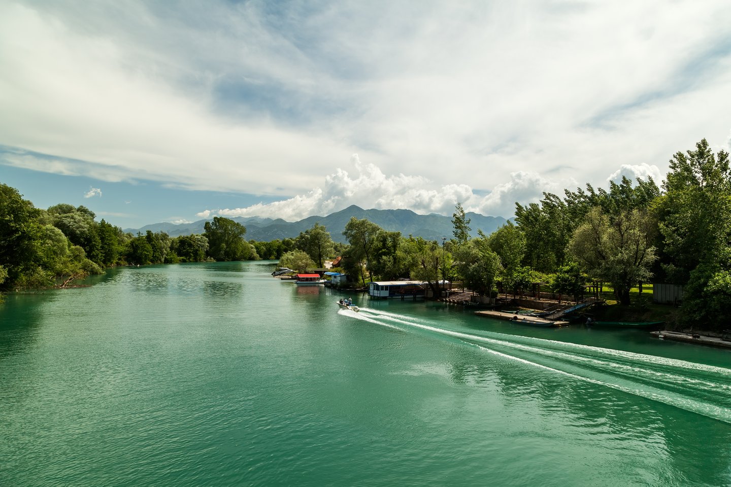 A boat on Lake Shkoder in Albania.