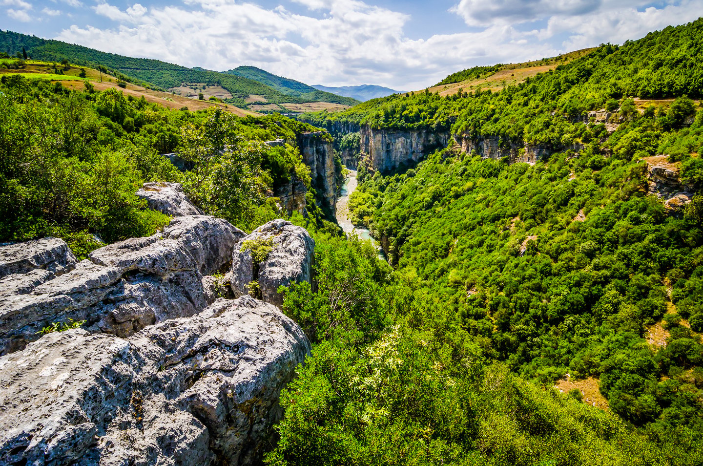 The green Osumi Canyon with the river visible through the trees in summer.