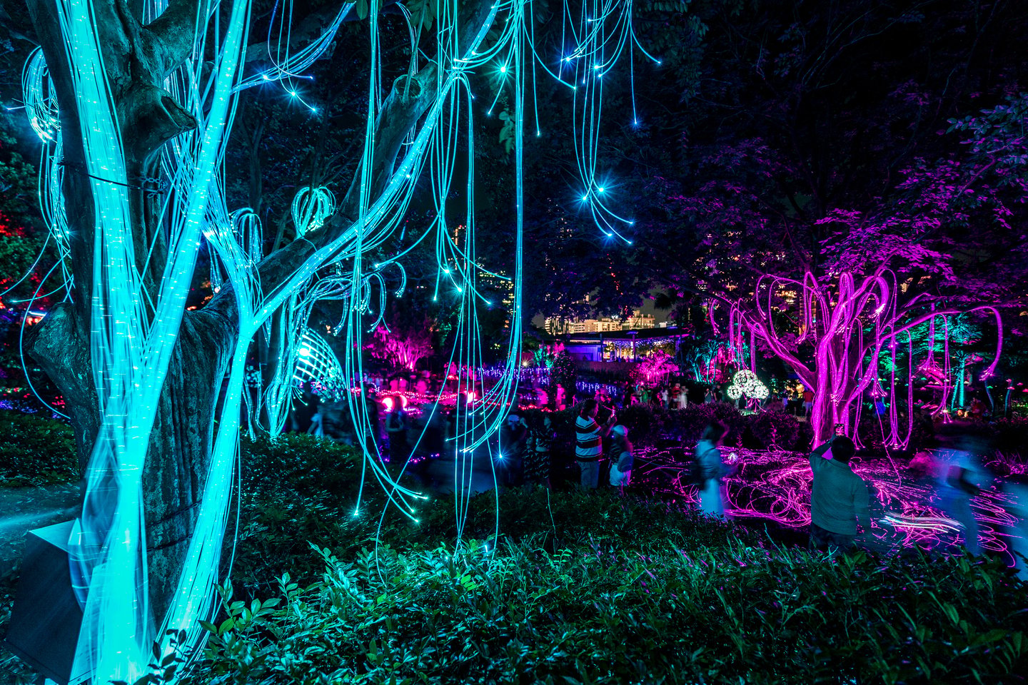 Lights in the gardens at Roma Street Parkland for Brisbane's Enchanted Garden event