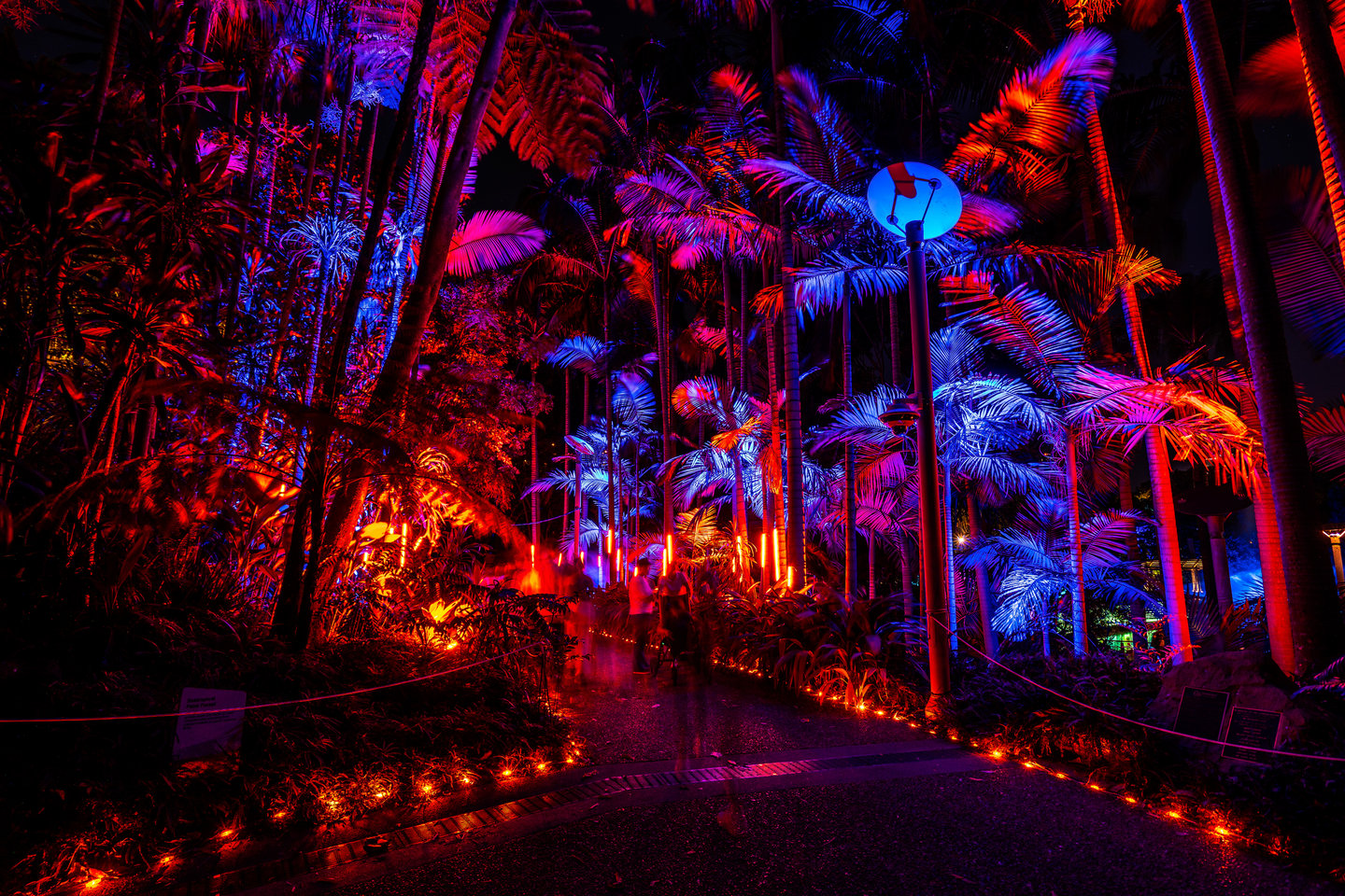 Lights in the gardens at Roma Street Parkland for Brisbane's Enchanted Garden event