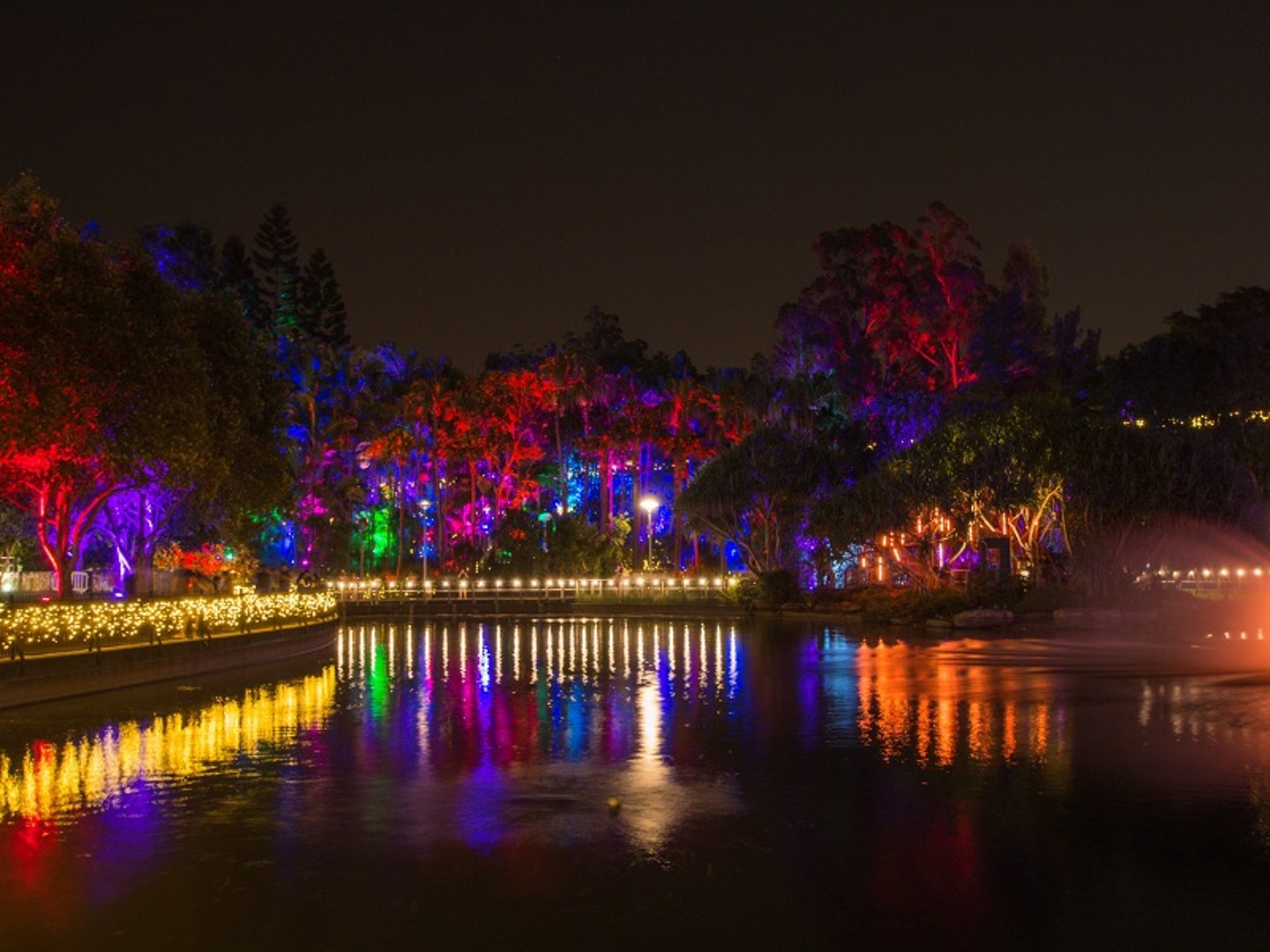 Lights on the lake at Roma Street Parkland for Brisbane's Enchanted Garden event