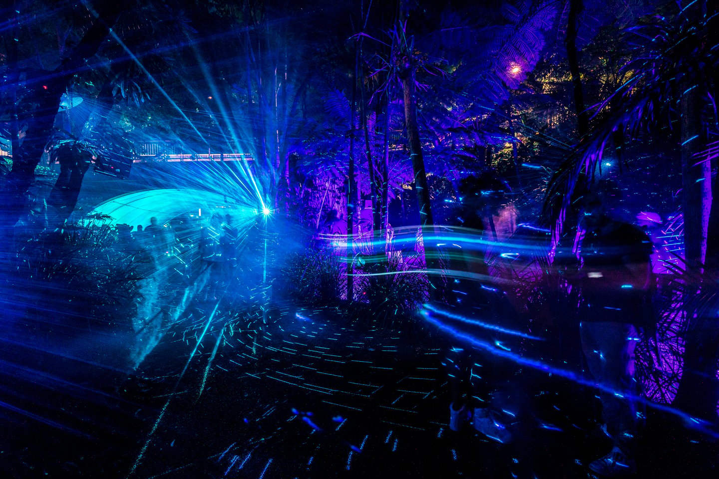 Lights in the gardens at Roma Street Parkland for Brisbane's Enchanted Garden event