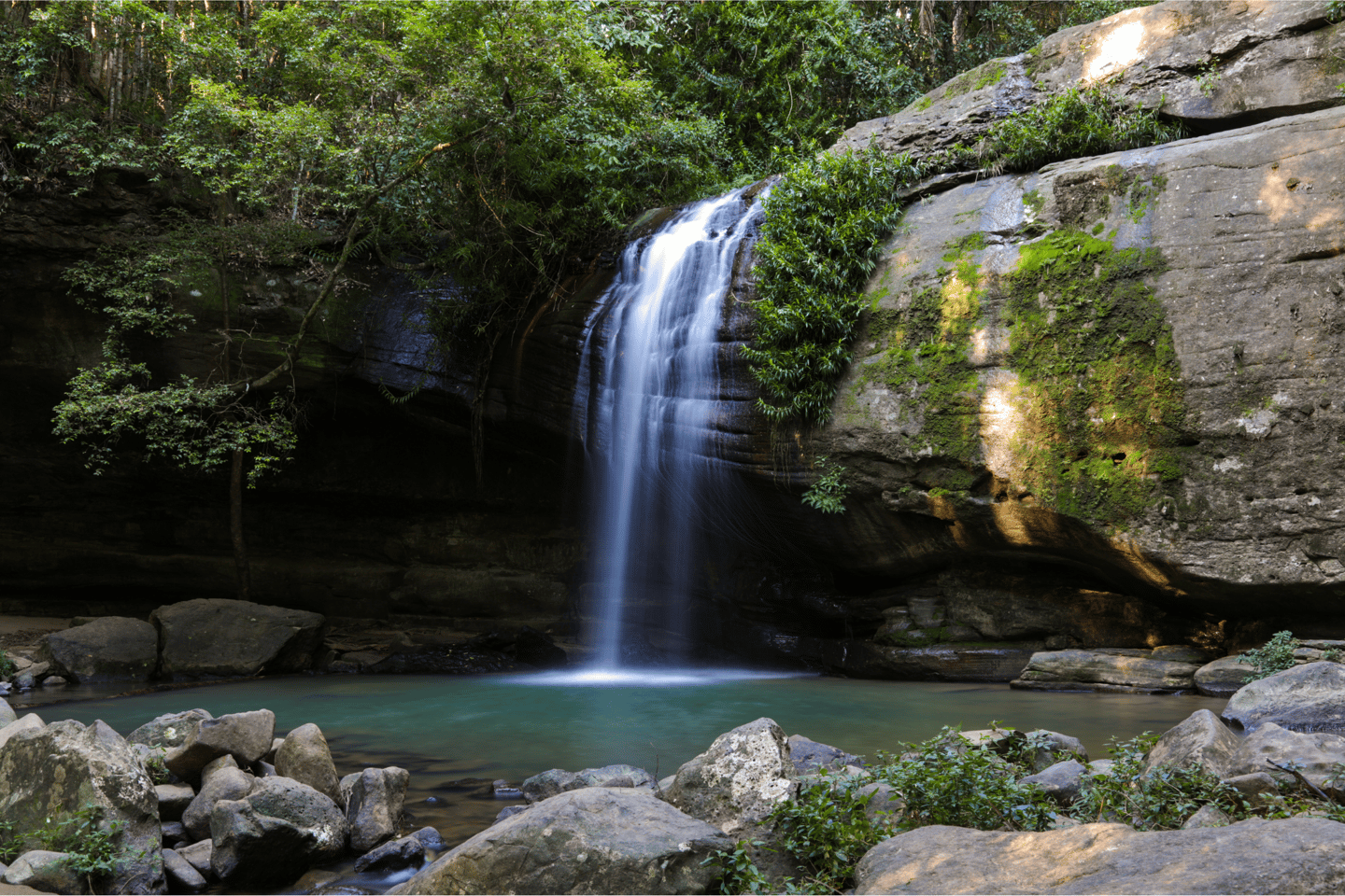 Buderim Waterfall, Sunshine Coast. Queensland