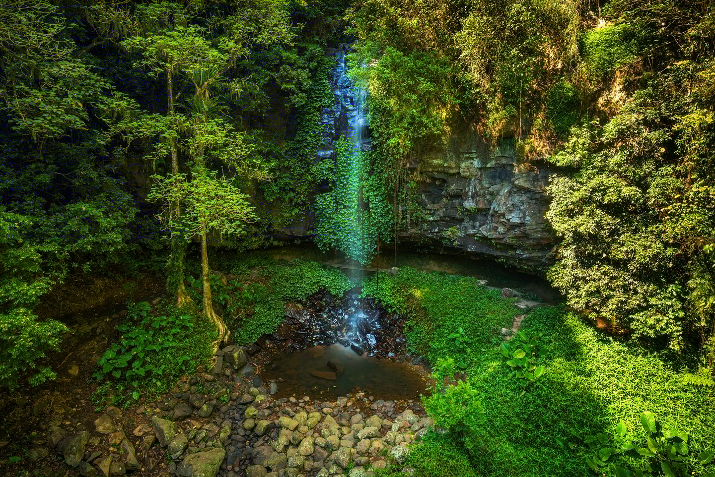 The light shining through the water and foliage at Crystal Falls in Dorrigo National Park, Australia