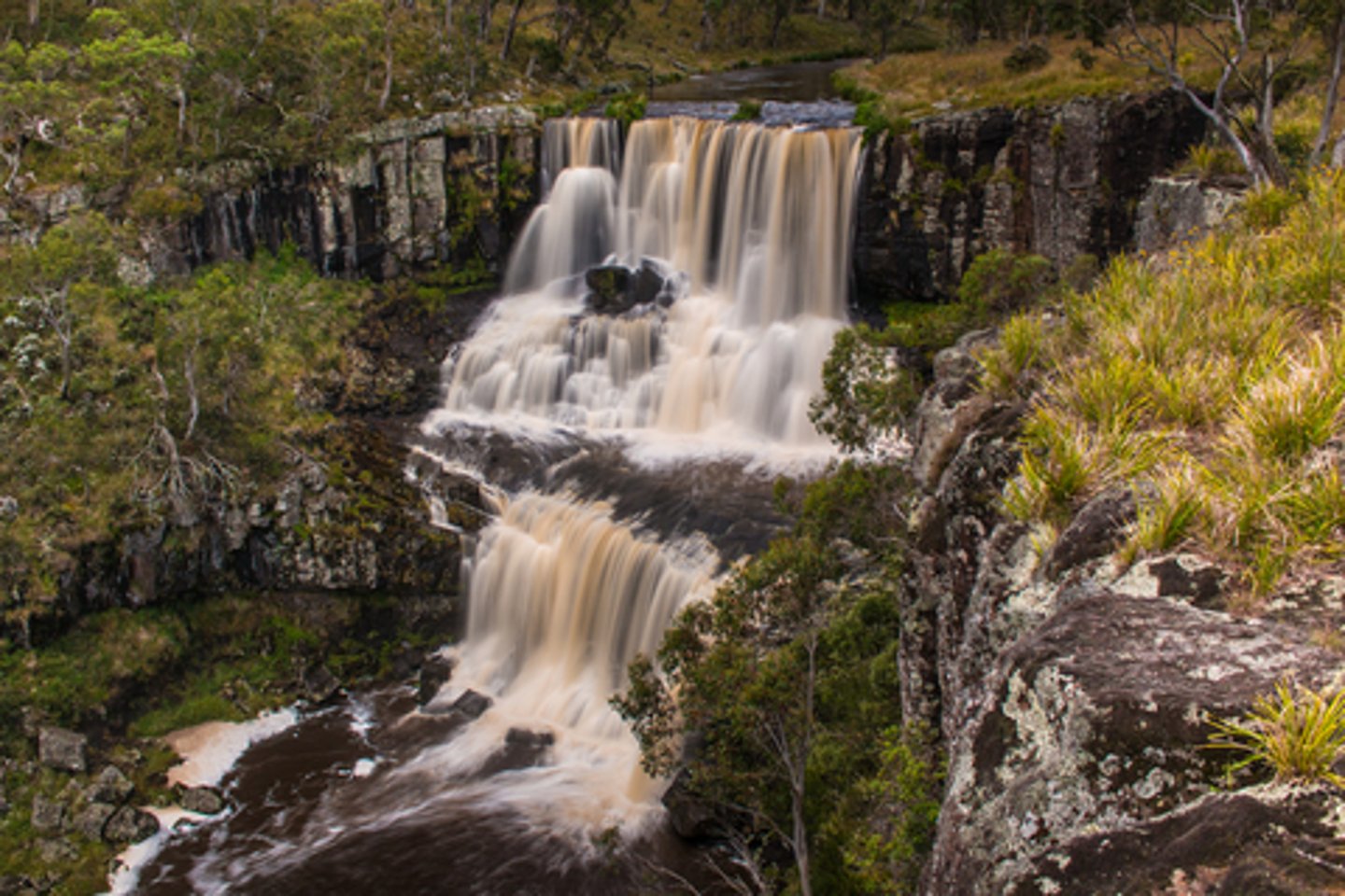 Ebor Falls in Dorrigo National Park after the rain