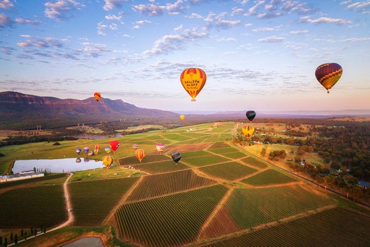 Hot air balloons floating over Hunter Valley, Australia