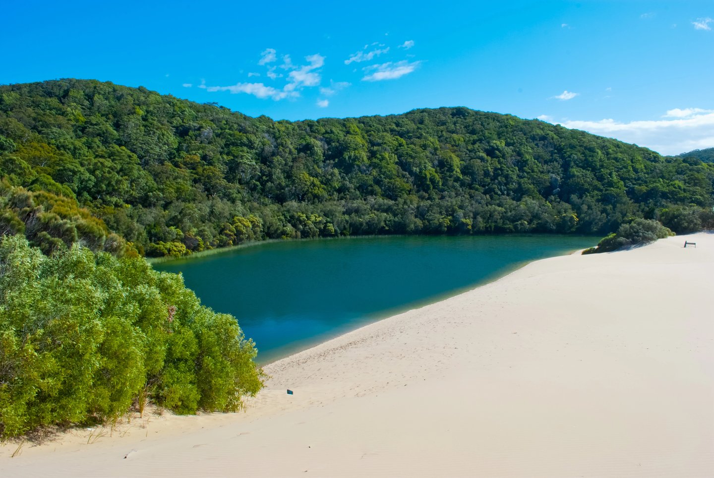 A deep blue lake in K'gari, Australia