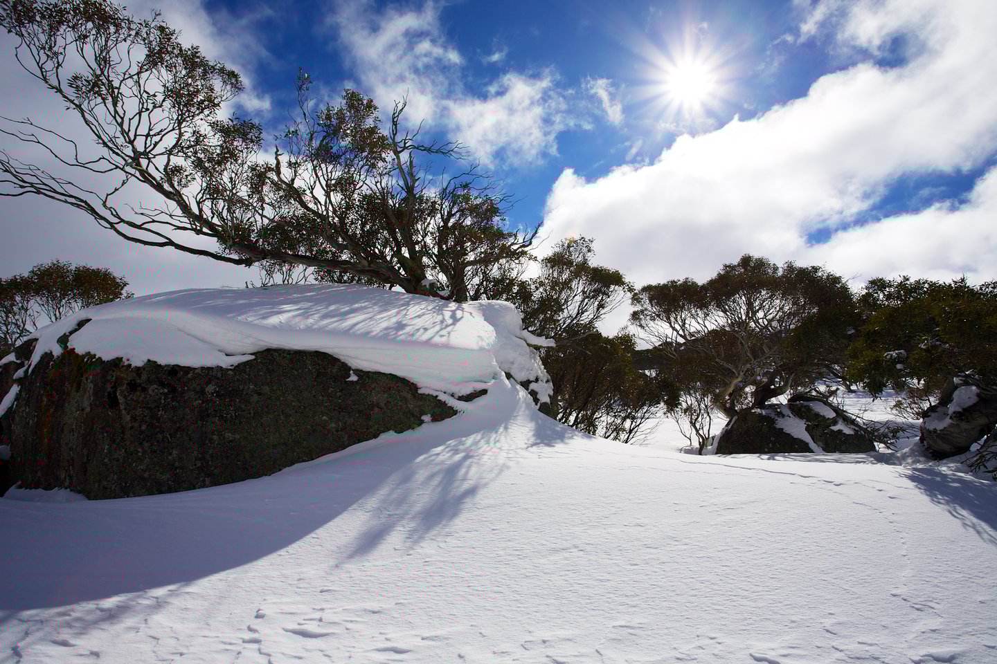 Snow covering the ground on a beautiful, winter's day in Perisher, Australia