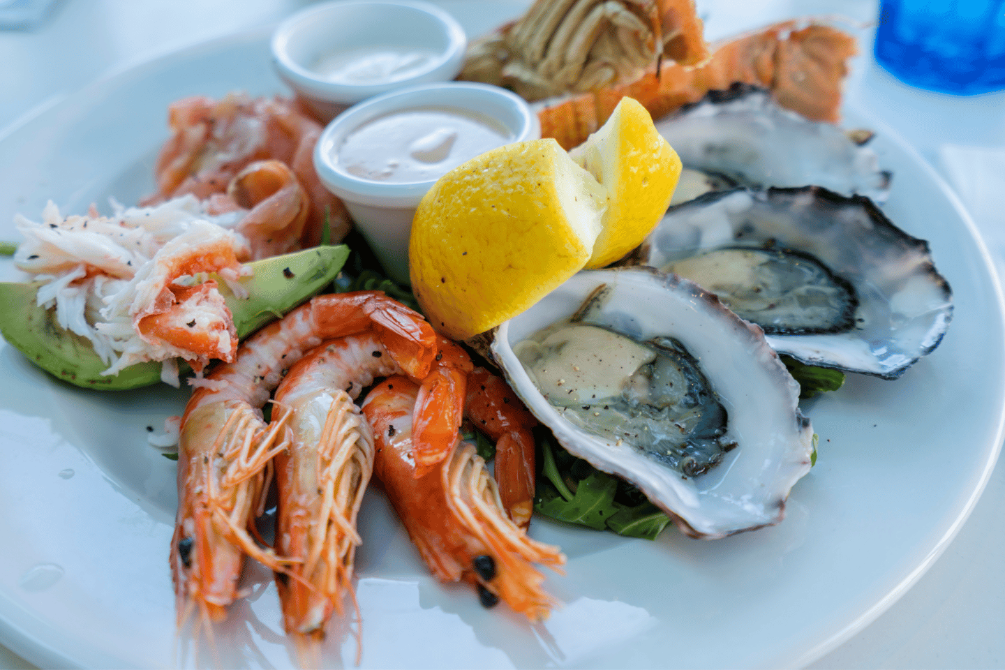 A plate of local seafood