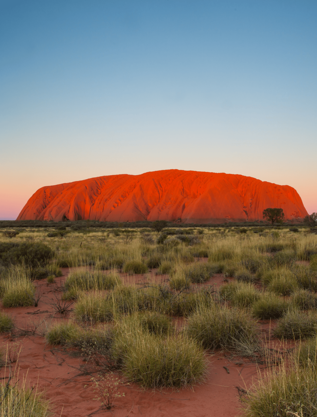 Uluru at sunset