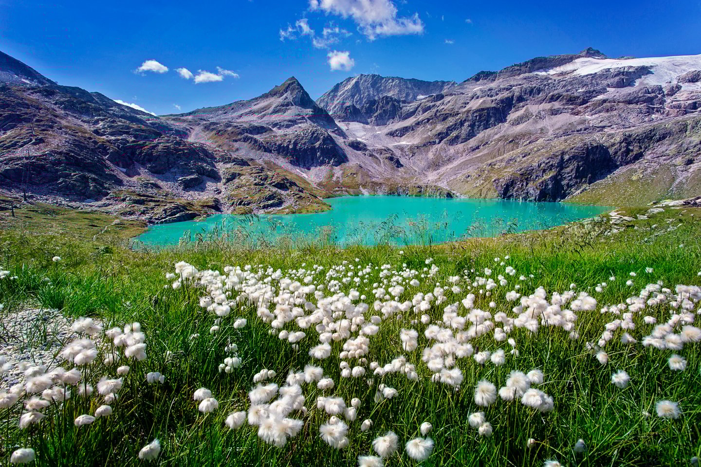 An alpine lake surrounded by wildflowrs in Hohe Tauern National Park, Austria.