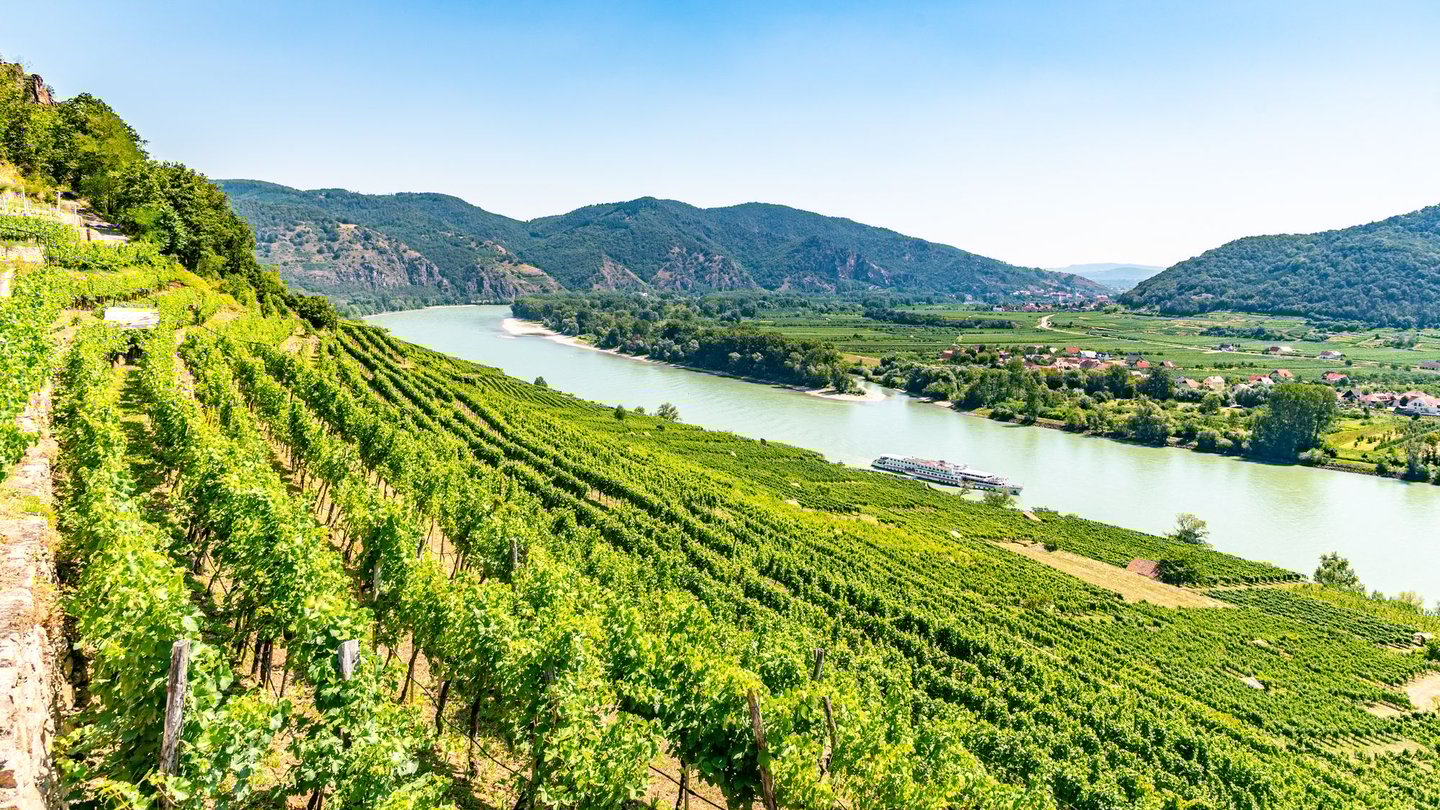 Vineyards along the Danube in the Wachau Valley