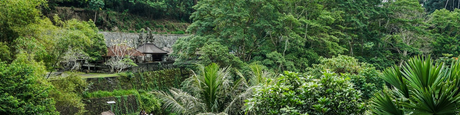 Looking at the water temple from the villa