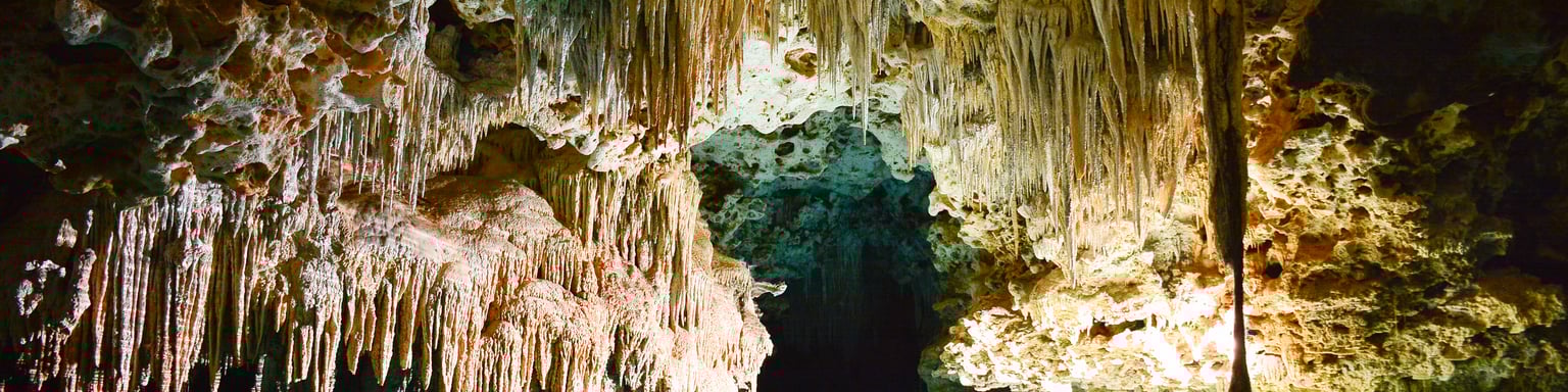 Stalactites hanging over the water in ATM Cave, Belize