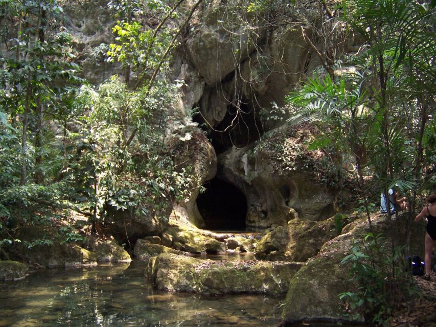 Forest surrounding the entrance to the ATM Cave in Belize