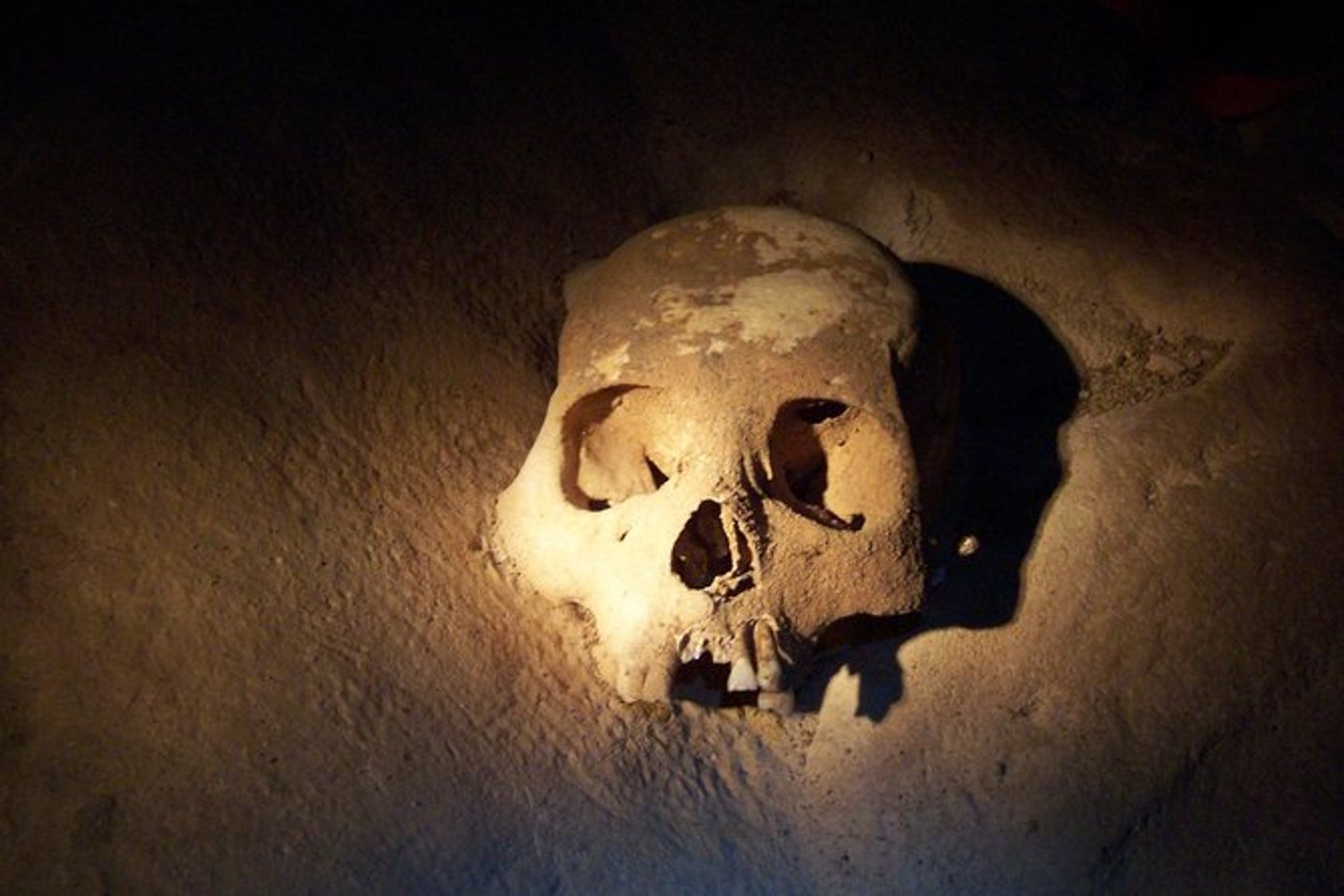 A skull in the ATM Cave, Belize