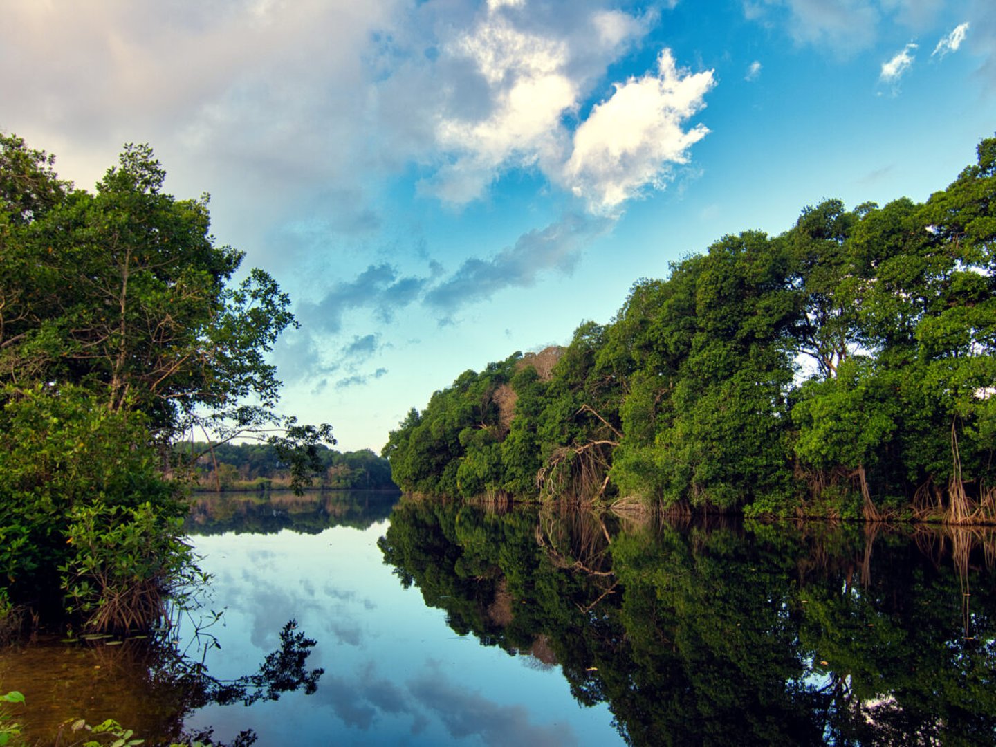 Reflections in the water in Corozal, Belize