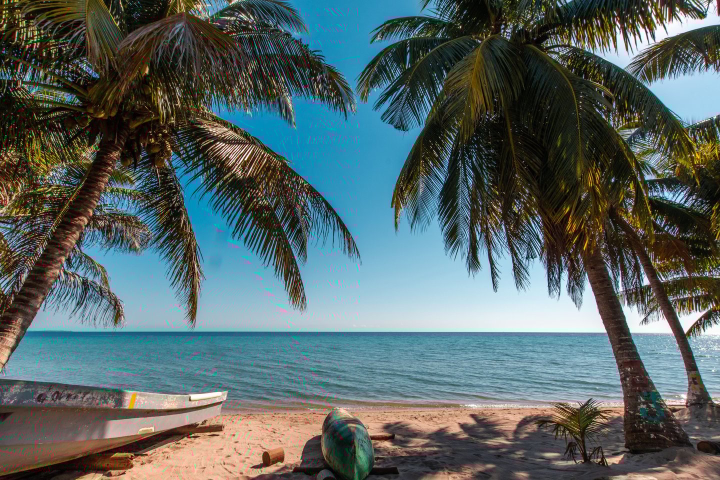 Boats and palm trees by the water in Hopkins, Belize.