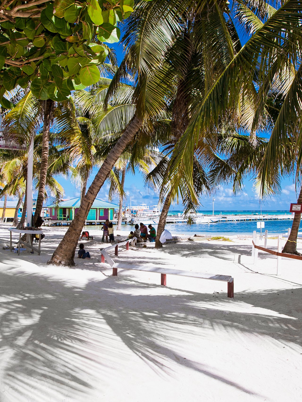 People sitting under palm trees on a beach in San Pedro, Belize.