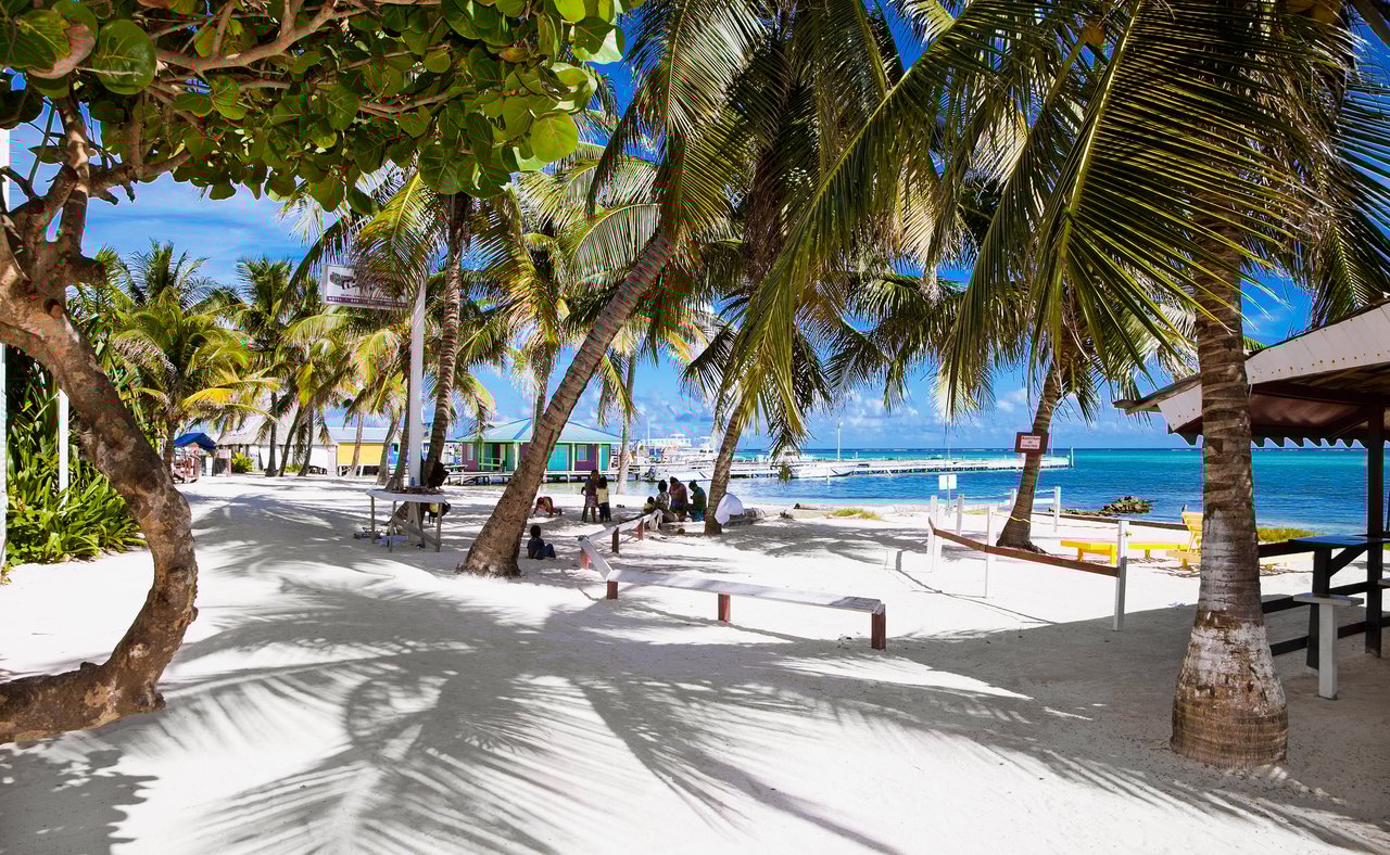 People sitting under palm trees on a beach in San Pedro, Belize.