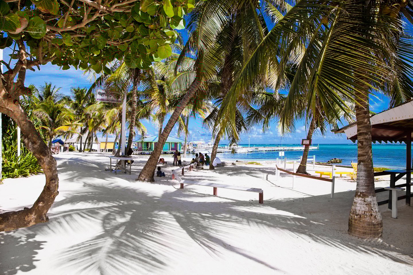 People sitting under palm trees on a beach in San Pedro, Belize.