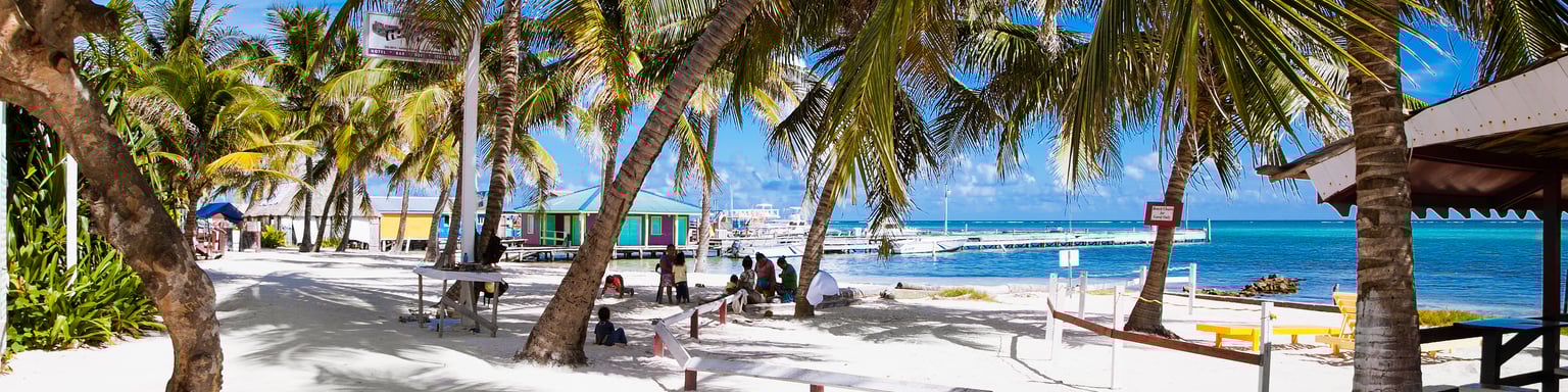 People sitting under palm trees on a beach in San Pedro, Belize.
