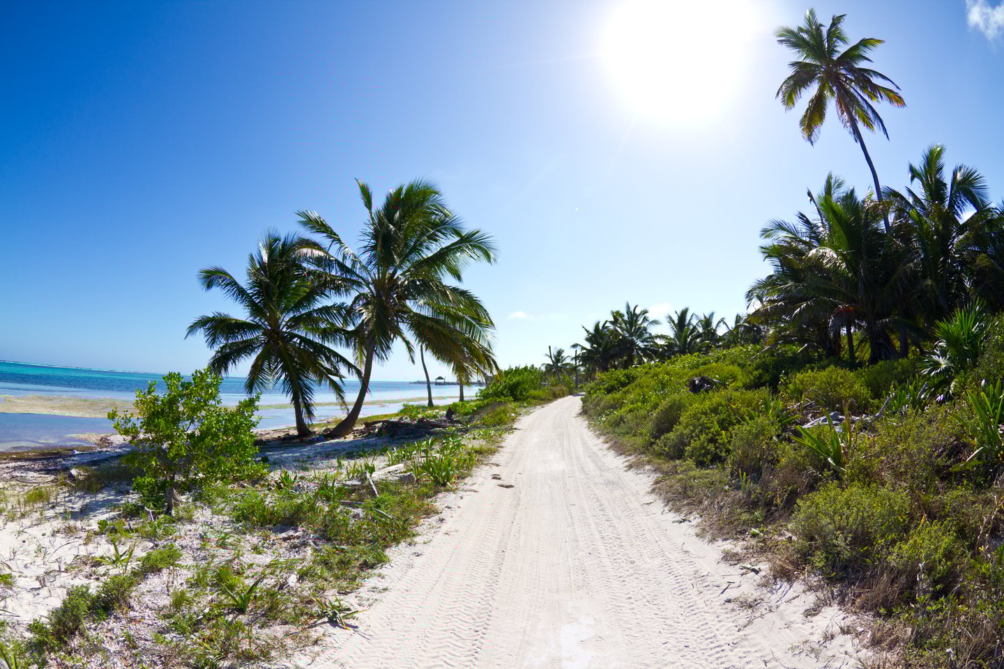 A sandy road along the beach in San Pedro, Belize