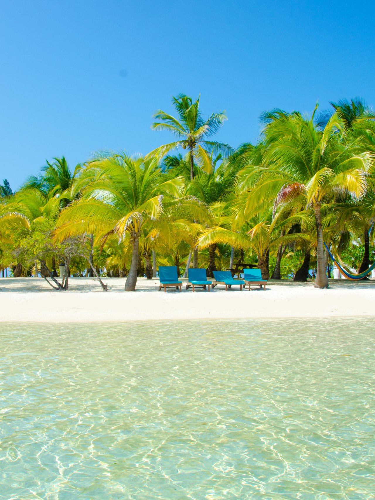 Blue loungers under palm trees on a white, sandy beach in South Water Caye, Belize