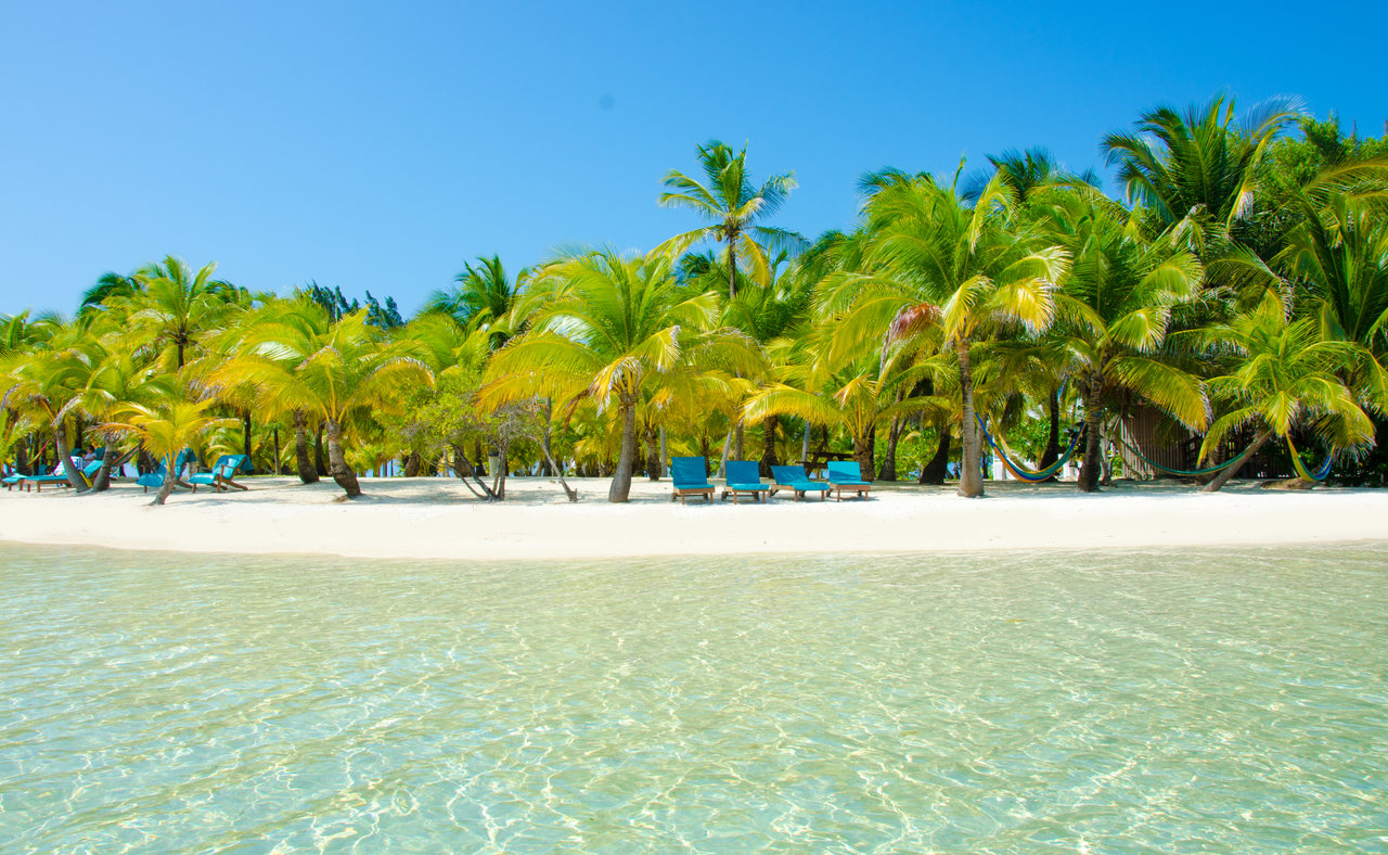 Blue loungers under palm trees on a white, sandy beach in South Water Caye, Belize
