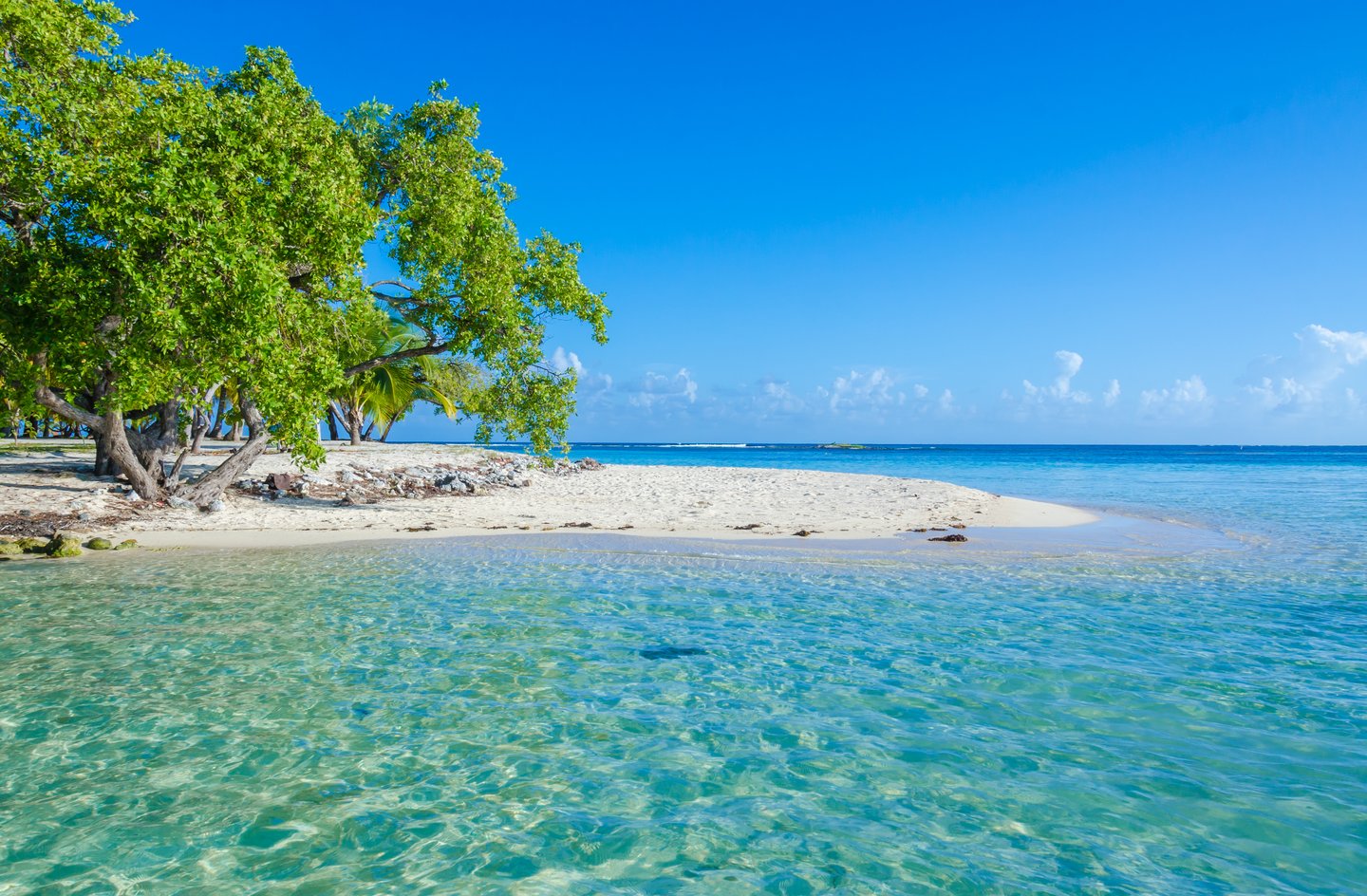 White sand and clear waters at South Water Caye, Belize.
