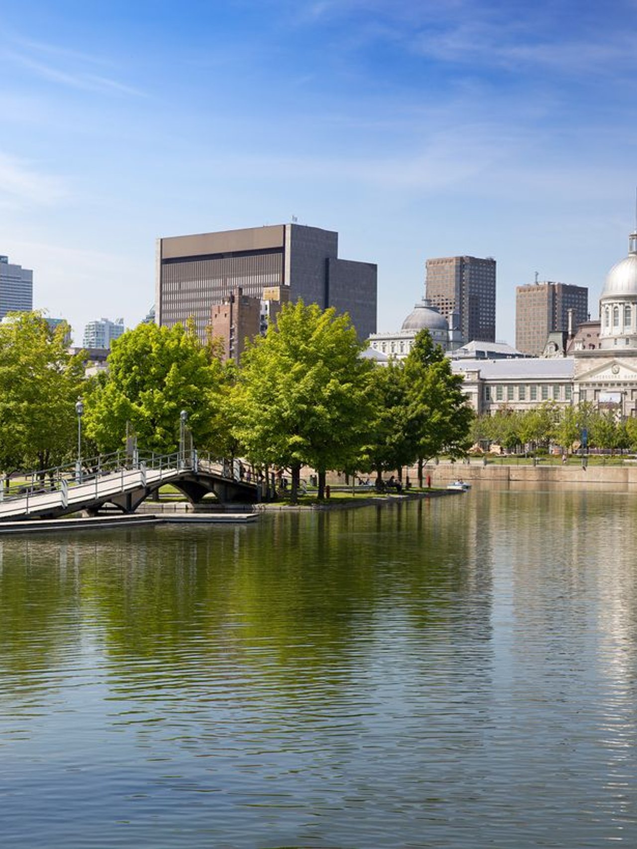 Downtown Montreal in the summer