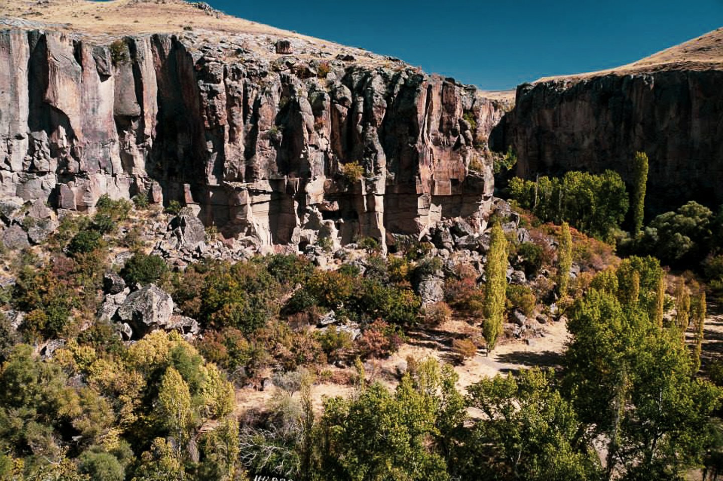 Rose Valley in Cappadocia