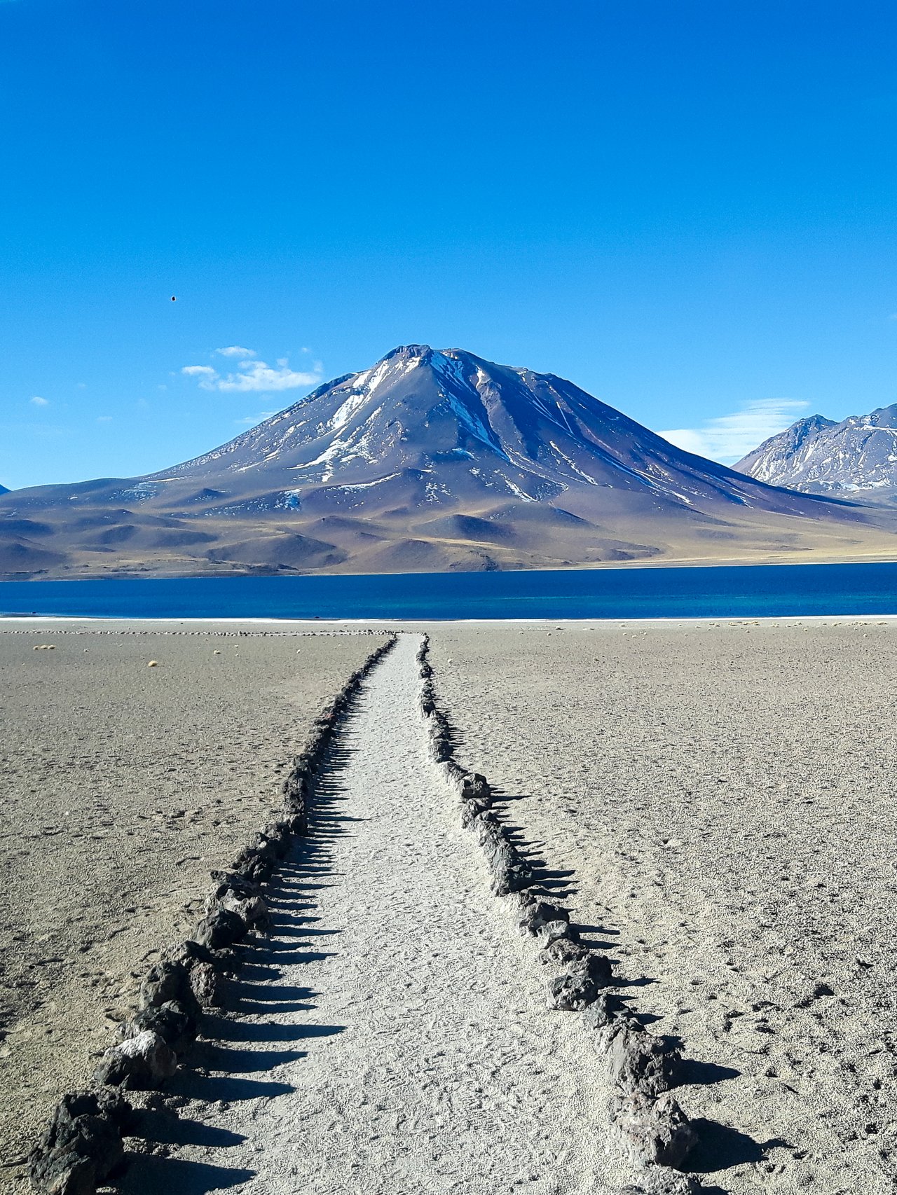 A path leading to Laguna Miscanti in Atacama, Chile