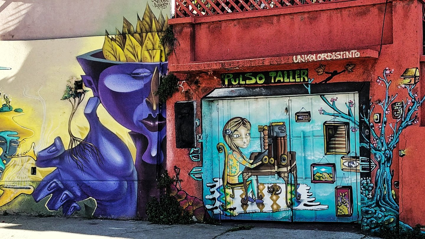 Street art on a shop's doors in Valparaiso, Chile