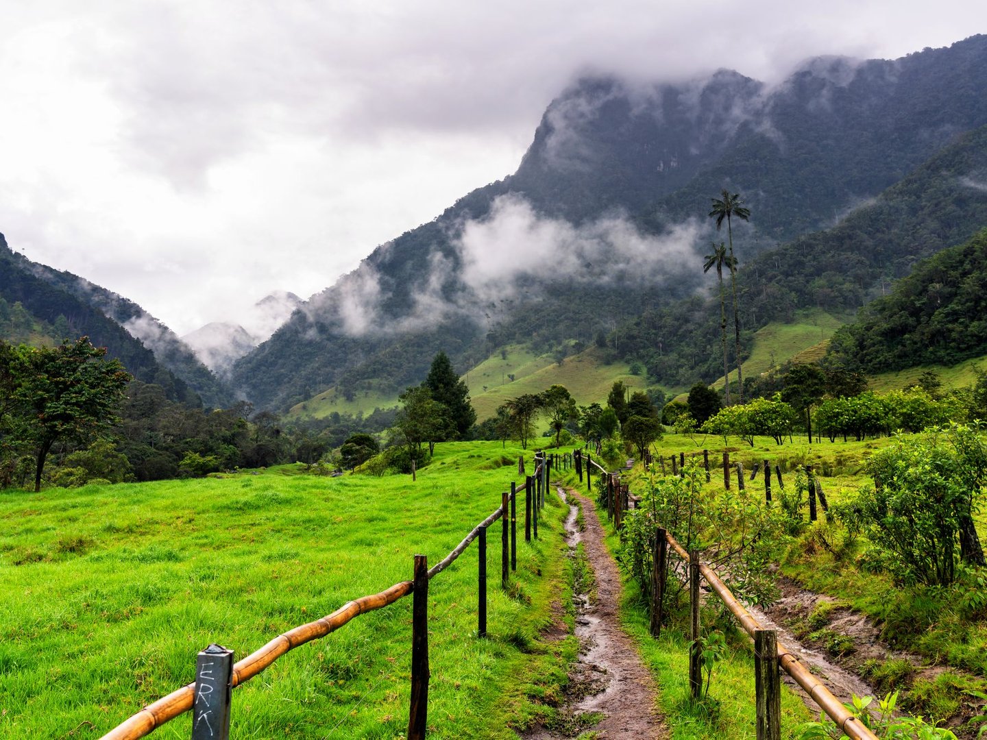 The start of the Cocora Valley hiking trail