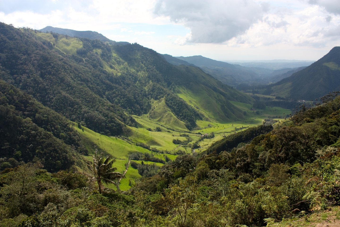 Looking down into the jungle in Cocoro Valley