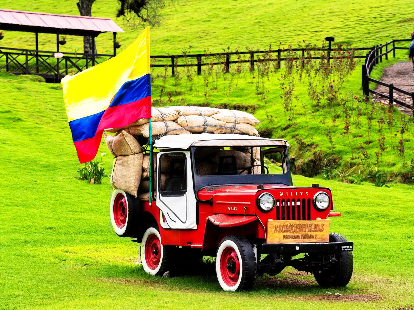 An iconic Willys jeep in Cocoro Valley, Colombia