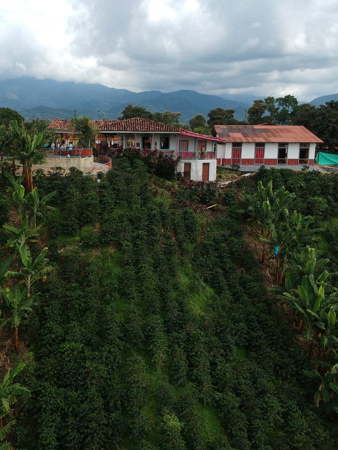 An aerial view of Recuca Coffee Farm