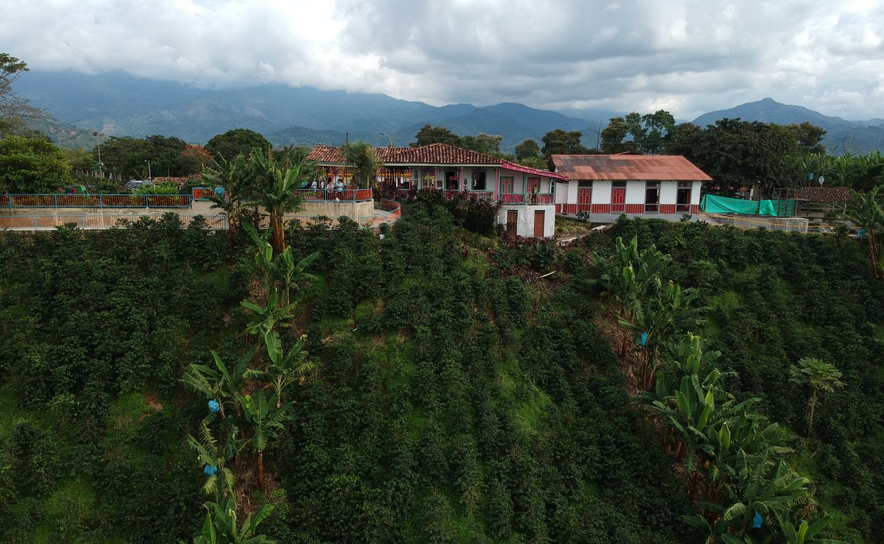 An aerial view of Recuca Coffee Farm