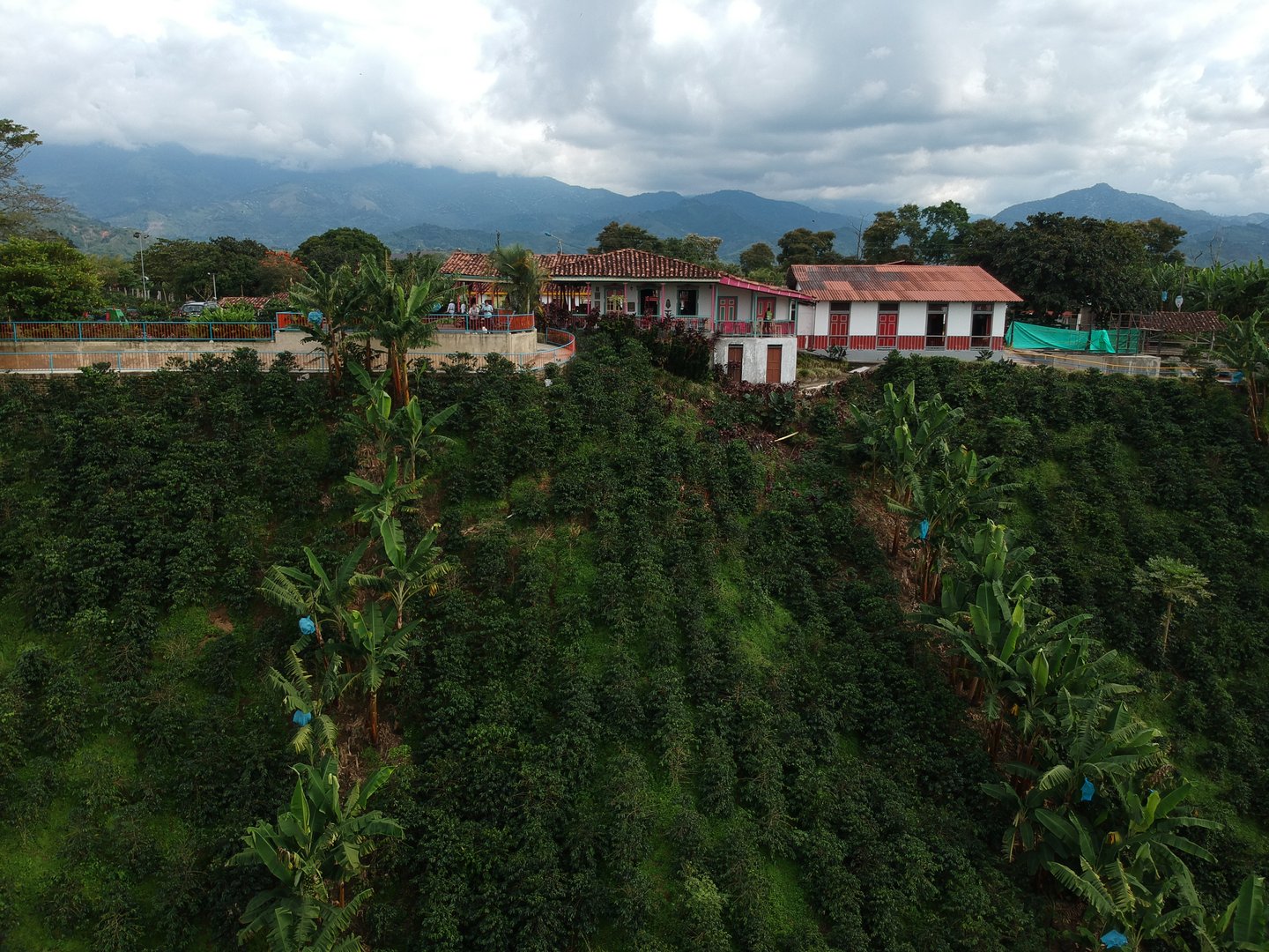 An aerial view of Recuca Coffee Farm