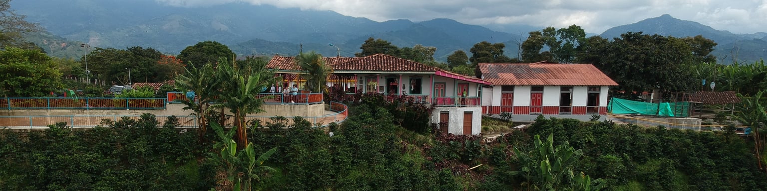An aerial view of Recuca Coffee Farm