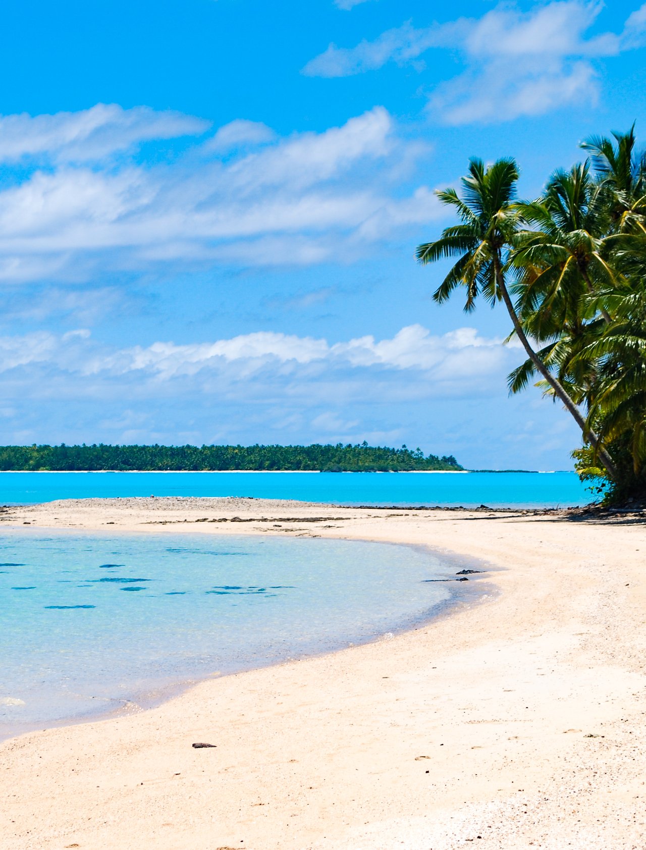 Palm trees by the lagoon on One Foot Island in the Cook Islands